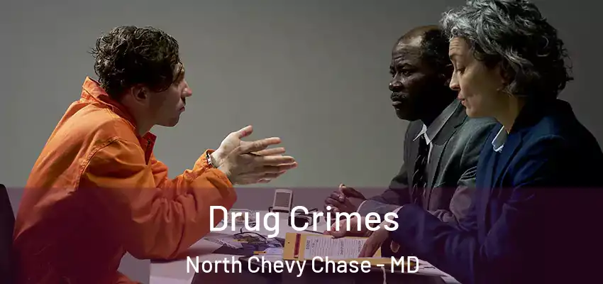 Drug Crimes North Chevy Chase - MD