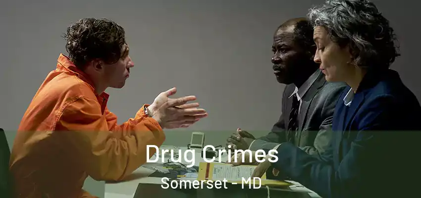 Drug Crimes Somerset - MD