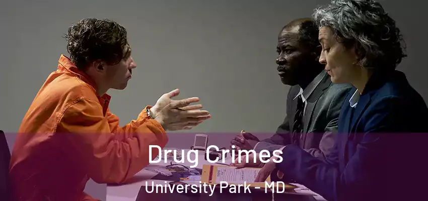 Drug Crimes University Park - MD