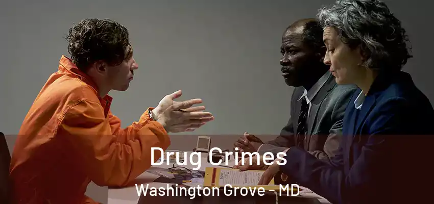Drug Crimes Washington Grove - MD