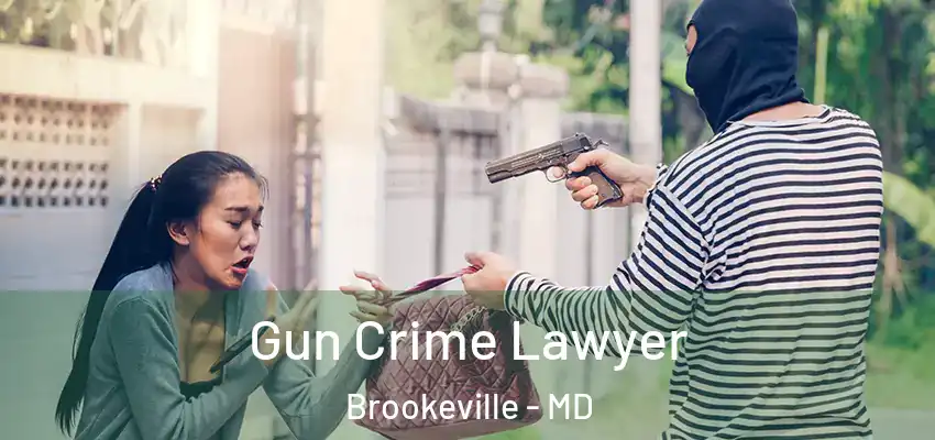  Gun Crime Lawyer Brookeville - MD