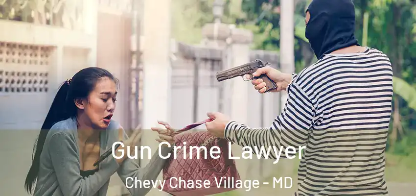 Gun Crime Lawyer Chevy Chase Village - MD