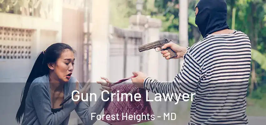  Gun Crime Lawyer Forest Heights - MD