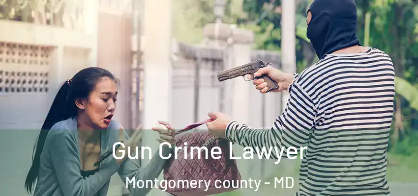  Gun Crime Lawyer Montgomery County - MD
