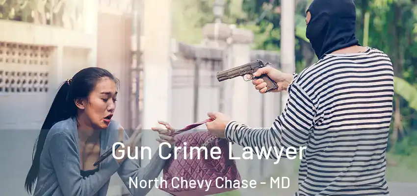  Gun Crime Lawyer North Chevy Chase - MD