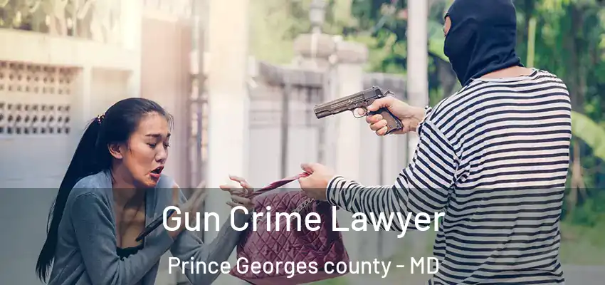 Gun Crime Lawyer Prince Georges County - MD