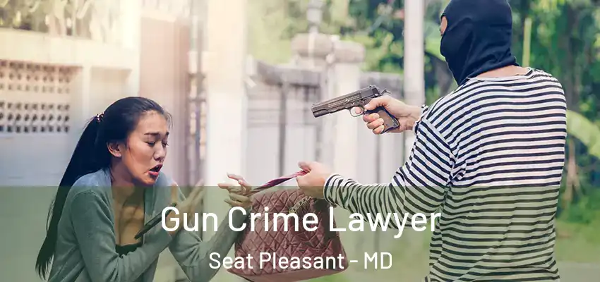  Gun Crime Lawyer Seat Pleasant - MD