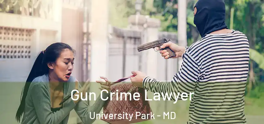  Gun Crime Lawyer University Park - MD