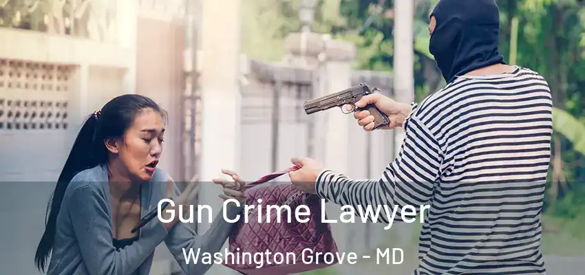  Gun Crime Lawyer Washington Grove - MD