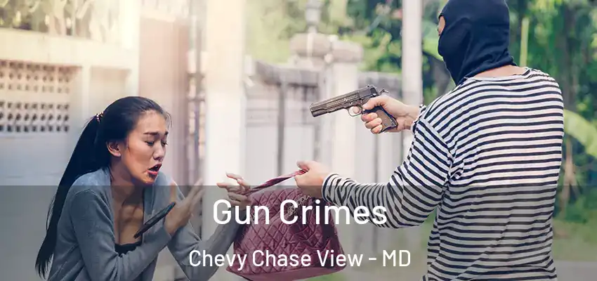 Gun Crimes Chevy Chase View - MD