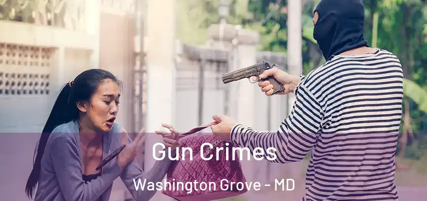 Gun Crimes Washington Grove - MD