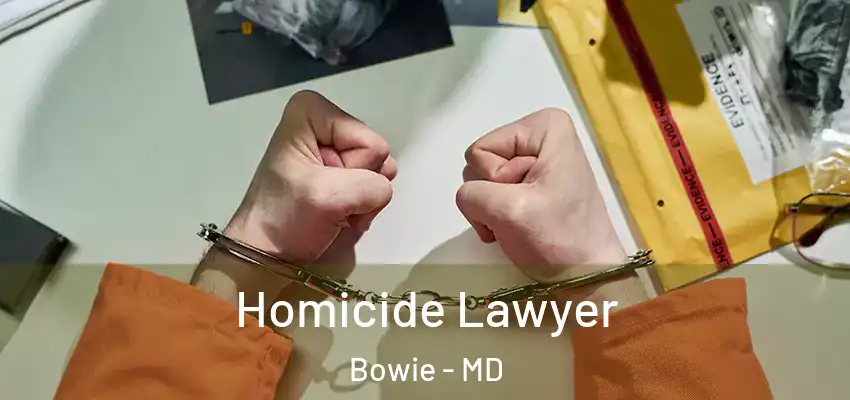  Homicide Lawyer Bowie - MD