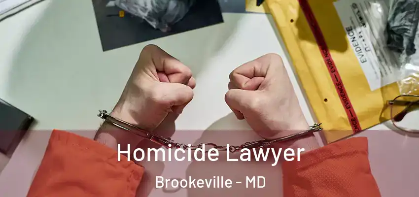 Homicide Lawyer Brookeville - MD