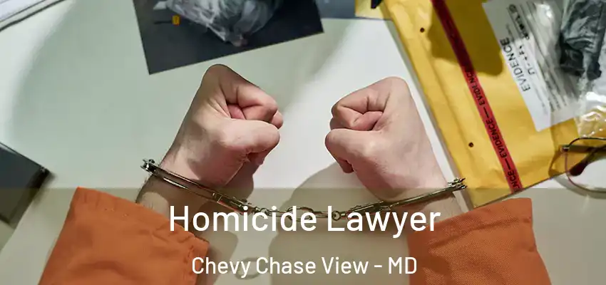  Homicide Lawyer Chevy Chase View - MD