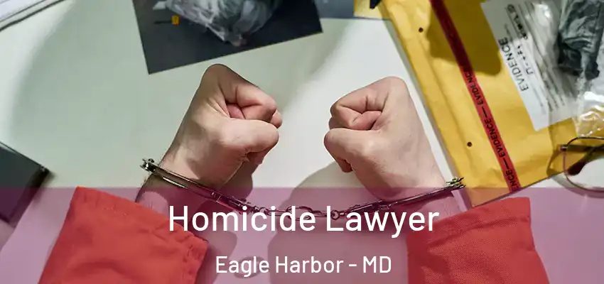 Homicide Lawyer Eagle Harbor - MD