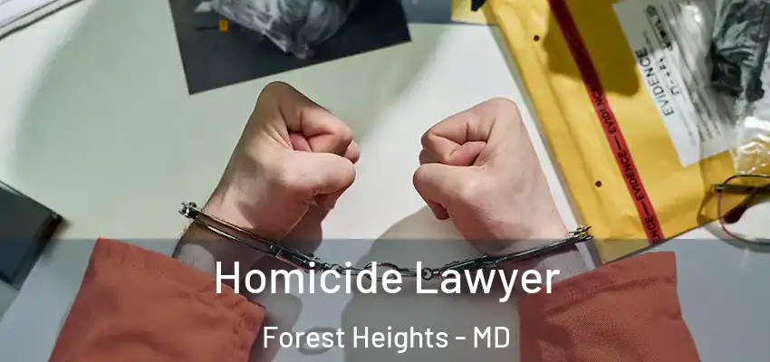  Homicide Lawyer Forest Heights - MD
