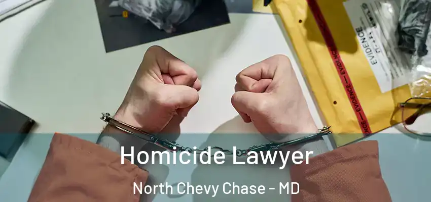 Homicide Lawyer North Chevy Chase - MD