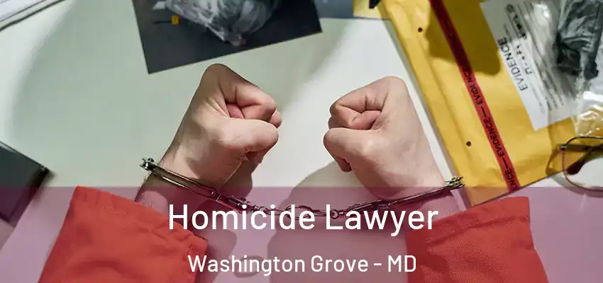  Homicide Lawyer Washington Grove - MD