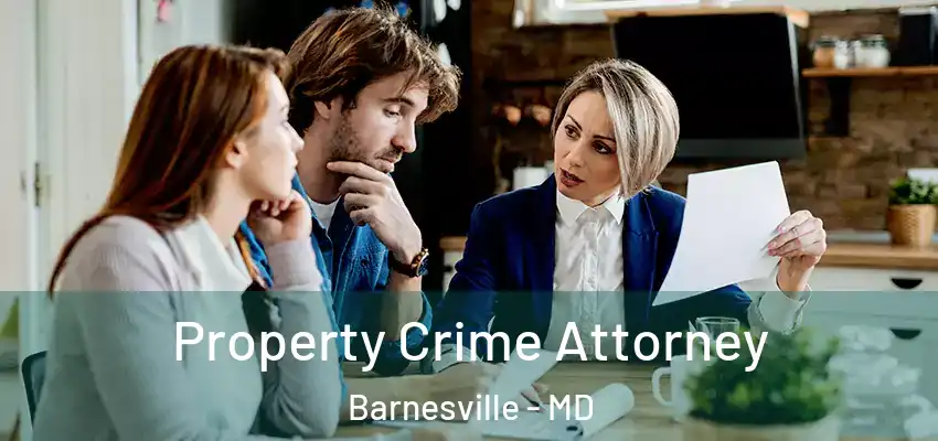  Property Crime Attorney Barnesville - MD