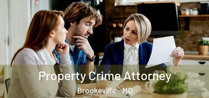 Property Crime Attorney Brookeville - MD