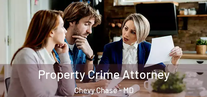  Property Crime Attorney Chevy Chase - MD