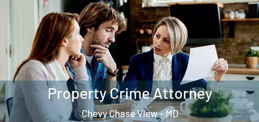  Property Crime Attorney Chevy Chase View - MD