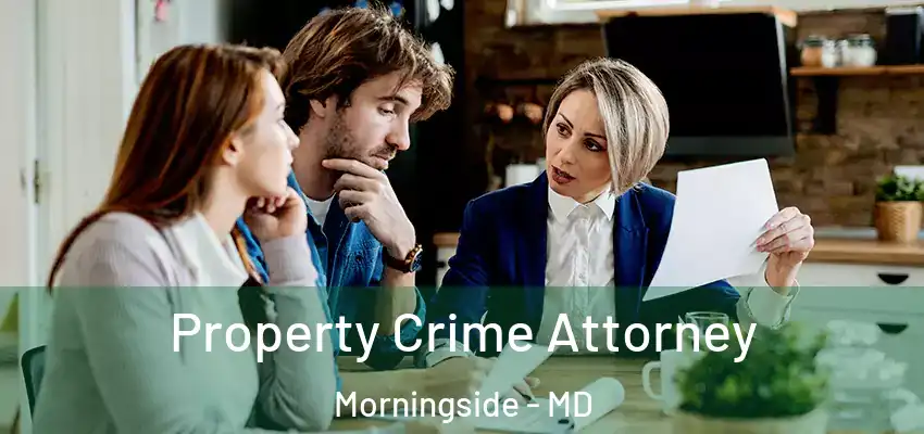  Property Crime Attorney Morningside - MD