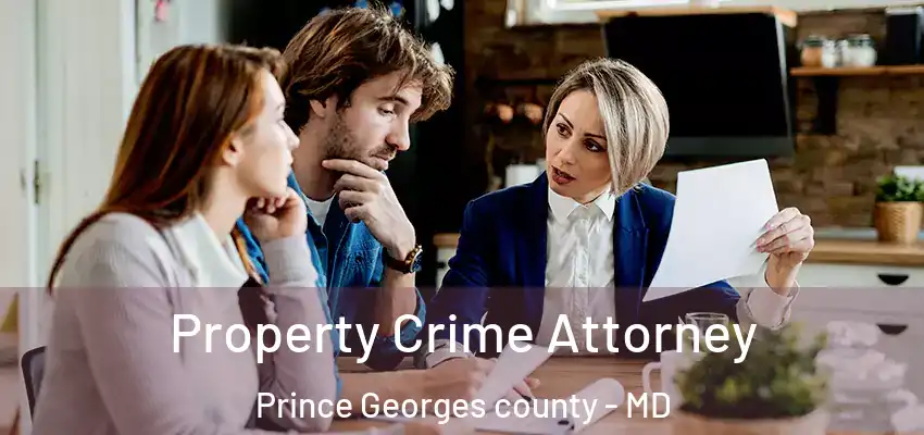 Property Crime Attorney Prince Georges County - MD