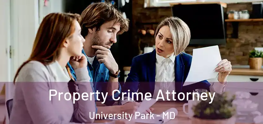  Property Crime Attorney University Park - MD