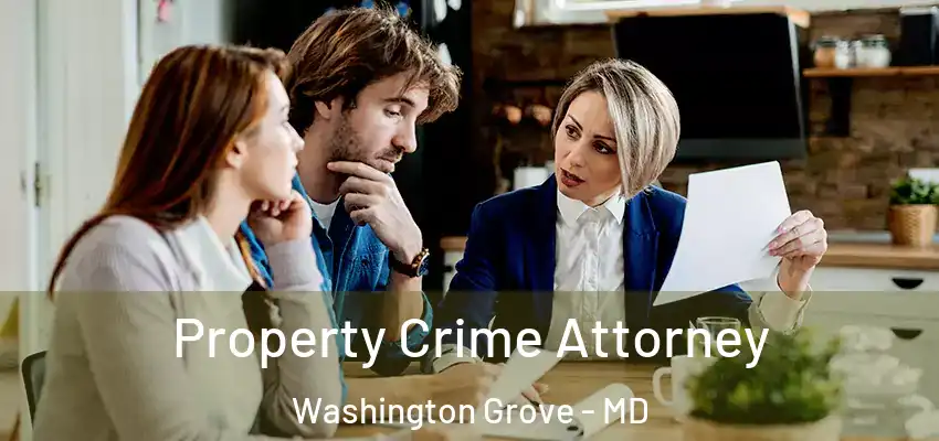  Property Crime Attorney Washington Grove - MD