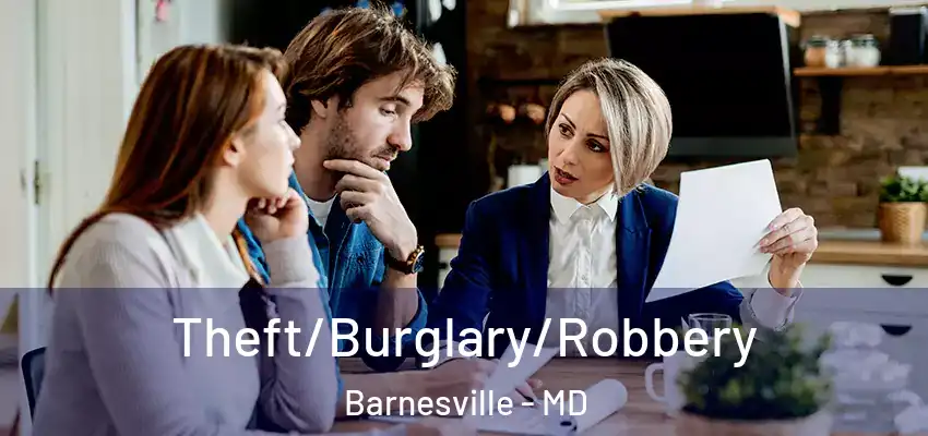 Theft/Burglary/Robbery Barnesville - MD