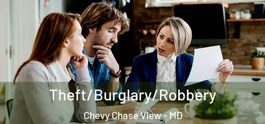 Theft/Burglary/Robbery Chevy Chase View - MD
